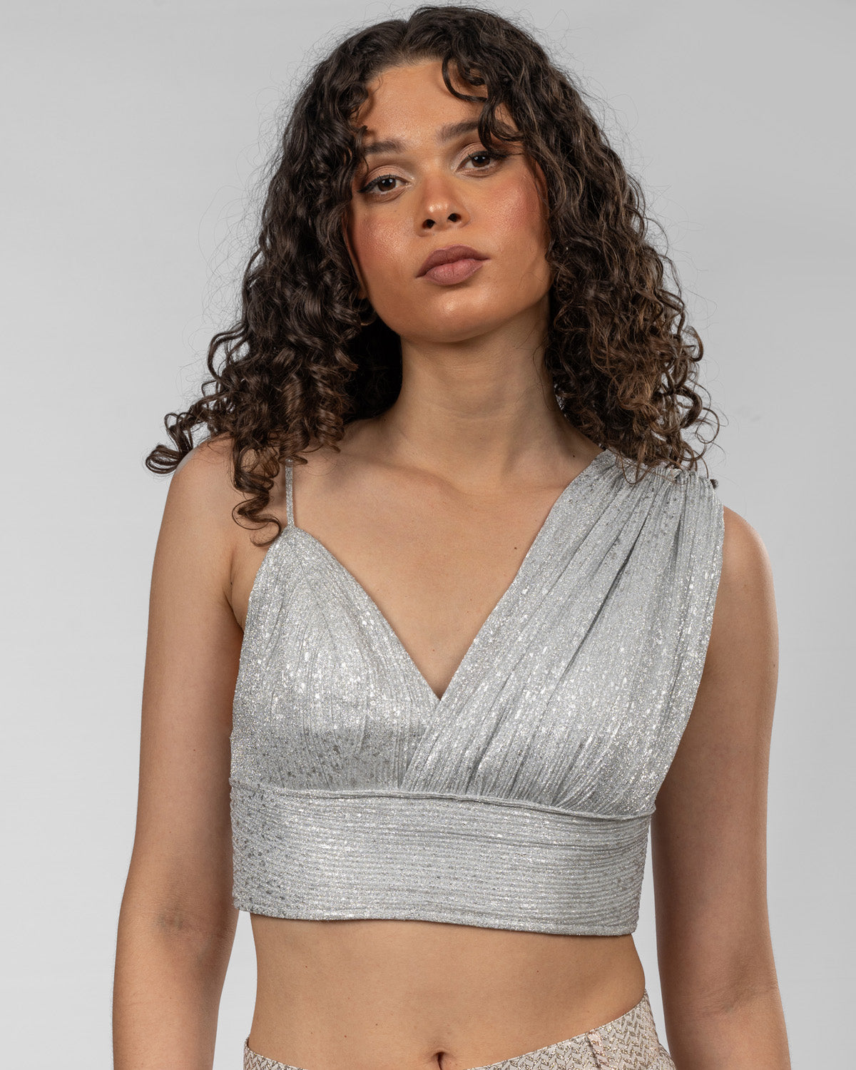 Silver Metallic Crop Top