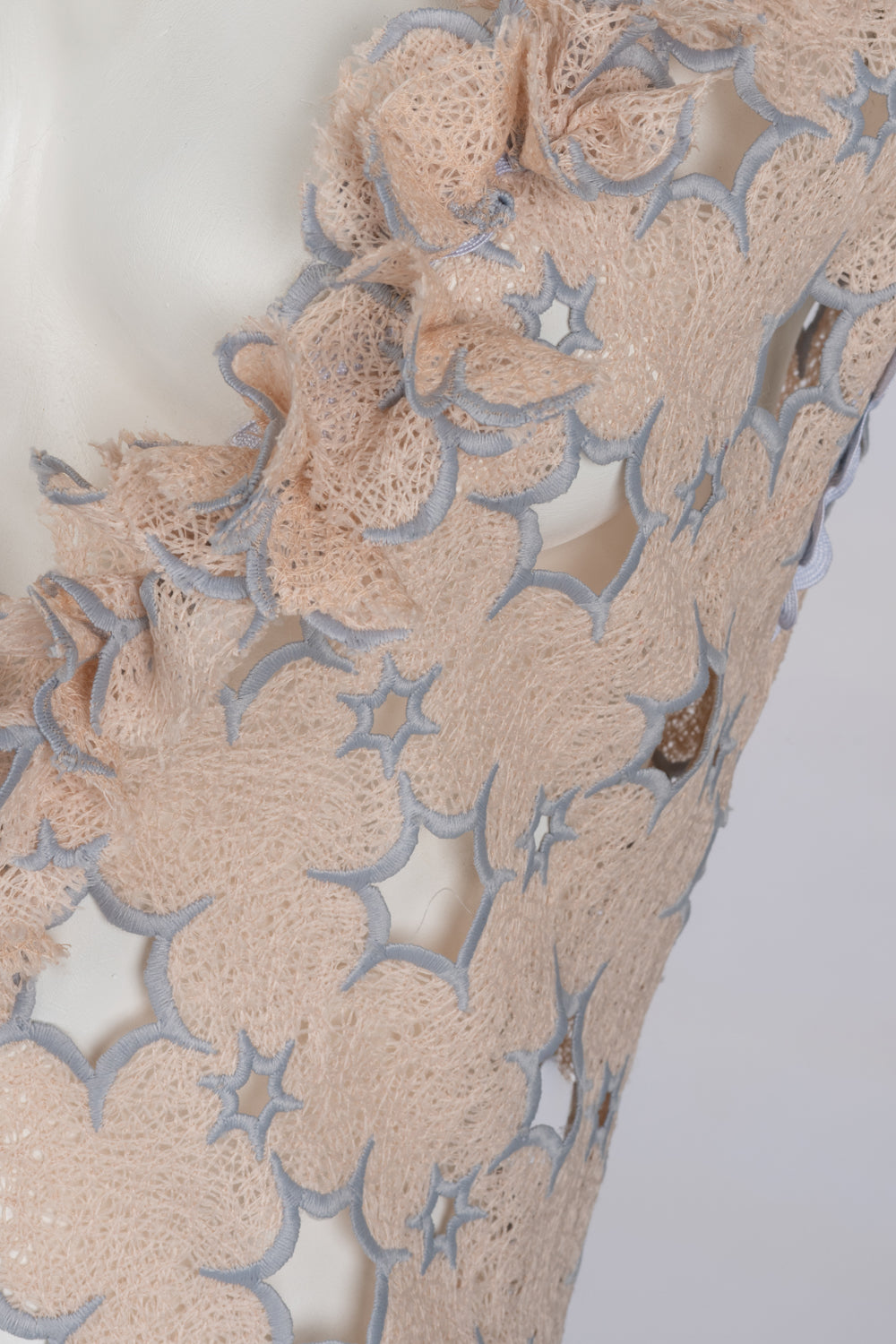 Chic Nude Embroidered Net Dress