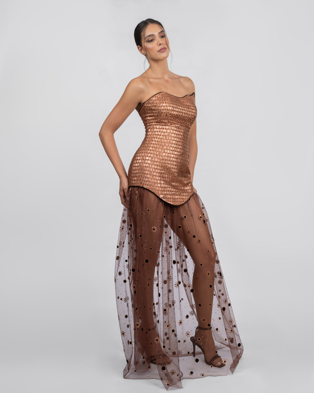 Refined Elegance Silk-Tulle Dress