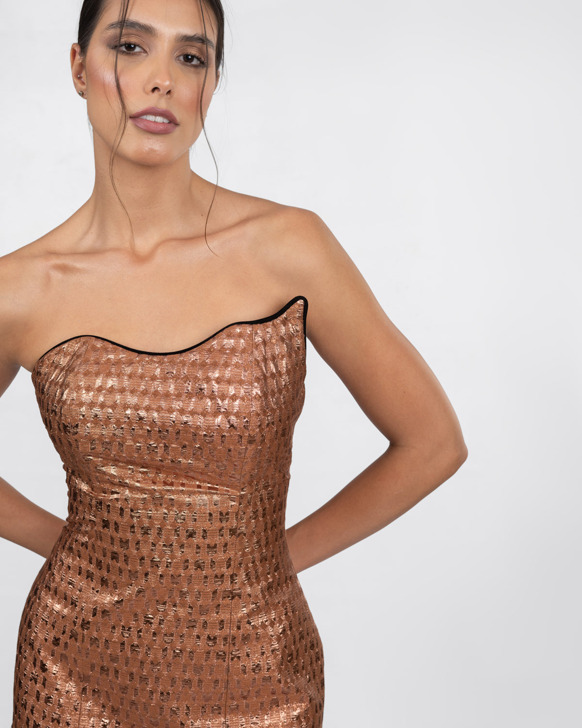 Refined Elegance Silk-Tulle Dress